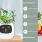 "AI Smart Planter Pot - Self-Watering, App-Controlled & Eco-Friendly"