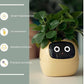 "AI Smart Planter Pot - Self-Watering, App-Controlled & Eco-Friendly"