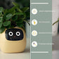 "AI Smart Planter Pot - Self-Watering, App-Controlled & Eco-Friendly"