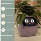 "AI Smart Planter Pot - Self-Watering, App-Controlled & Eco-Friendly"