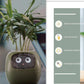 "AI Smart Planter Pot - Self-Watering, App-Controlled & Eco-Friendly"