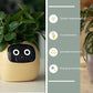 "AI Smart Planter Pot - Self-Watering, App-Controlled & Eco-Friendly"