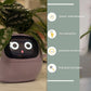 "AI Smart Planter Pot - Self-Watering, App-Controlled & Eco-Friendly"