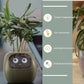 "AI Smart Planter Pot - Self-Watering, App-Controlled & Eco-Friendly"