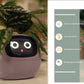 "AI Smart Planter Pot - Self-Watering, App-Controlled & Eco-Friendly"