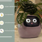 "AI Smart Planter Pot - Self-Watering, App-Controlled & Eco-Friendly"