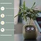 "AI Smart Planter Pot - Self-Watering, App-Controlled & Eco-Friendly"