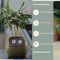 "AI Smart Planter Pot - Self-Watering, App-Controlled & Eco-Friendly"