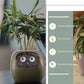 "AI Smart Planter Pot - Self-Watering, App-Controlled & Eco-Friendly"