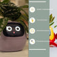 "AI Smart Planter Pot - Self-Watering, App-Controlled & Eco-Friendly"