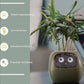 "AI Smart Planter Pot - Self-Watering, App-Controlled & Eco-Friendly"