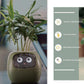 "AI Smart Planter Pot - Self-Watering, App-Controlled & Eco-Friendly"