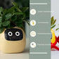 "AI Smart Planter Pot - Self-Watering, App-Controlled & Eco-Friendly"