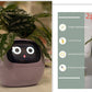 "AI Smart Planter Pot - Self-Watering, App-Controlled & Eco-Friendly"