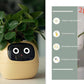 "AI Smart Planter Pot - Self-Watering, App-Controlled & Eco-Friendly"