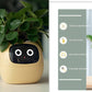 "AI Smart Planter Pot - Self-Watering, App-Controlled & Eco-Friendly"