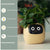 "AI Smart Planter Pot - Self-Watering, App-Controlled & Eco-Friendly"