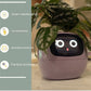 "AI Smart Planter Pot - Self-Watering, App-Controlled & Eco-Friendly"