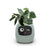 "AI Smart Planter Pot - Self-Watering, App-Controlled & Eco-Friendly"