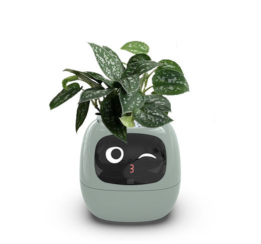 "AI Smart Planter Pot - Self-Watering, App-Controlled & Eco-Friendly"